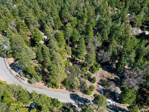000 Laurel Trl #LOT PINE, Cove Idyllwild, CA 92549 photo 3
