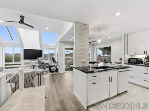 317 Arcaro Ln, Solana Beach, CA 92075