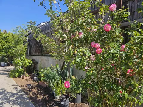 Exterior - 727 N Main Ave, Fallbrook, CA 92028 photo 8 of 9