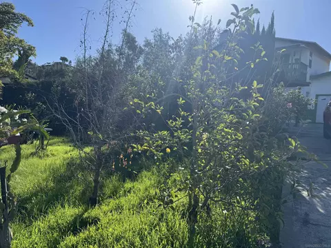 Exterior - 9317 Lamar St, Spring Valley, CA 91977 photo 3 of 6