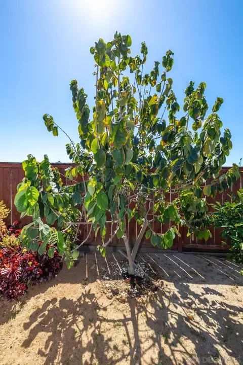 Exterior - 2143 Flint, Escondido, CA 92027 photo 16 of 17
