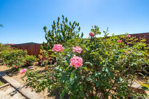 Exterior - 2143 Flint, Escondido, CA 92027 photo 17 of 17