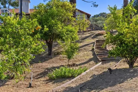 Exterior - 23969 Nectar Way, Ramona, CA 92065 photo 12 of 18