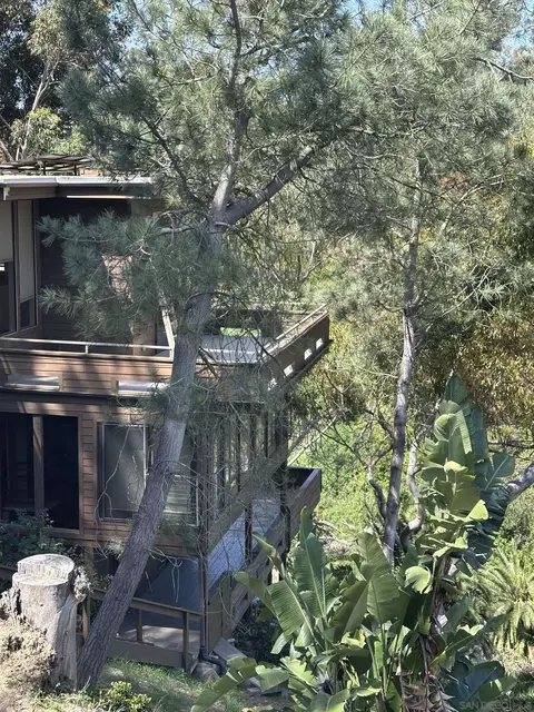 4242 Falcon St, San Diego, CA 92103