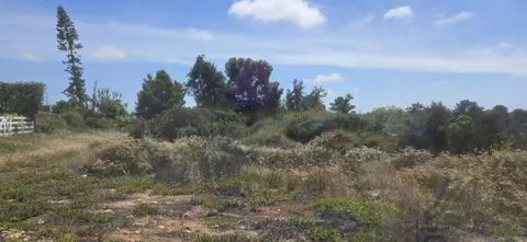 3550 Mount Burnham #7, San Diego, CA 92111