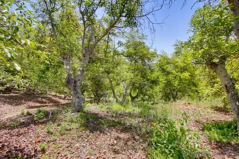 31675 Rancho Amigos Rd #1, Bonsall, CA 92003 photo 19
