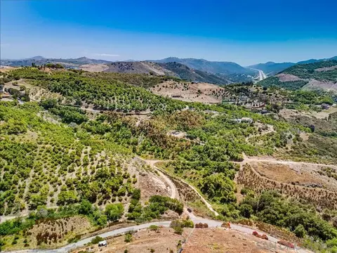 31675 Rancho Amigos Rd #1, Bonsall, CA 92003