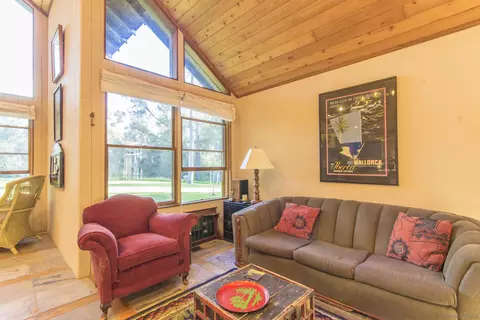 Living - 28831 Spruce, Pine Valley, CA 91962 photo 8 of 10