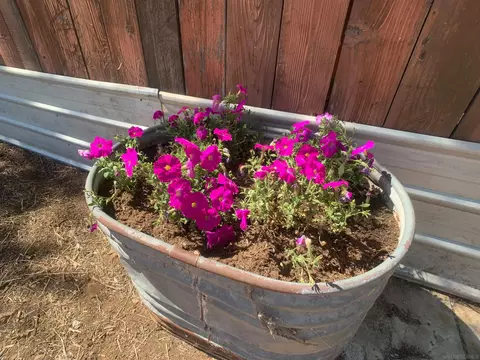 Other - 12706 Julian Ave, Lakeside, CA 92040 photo 3 of 4