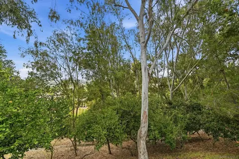 6540 Corte Valdez, Carlsbad, CA 92009 photo 45