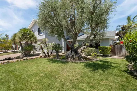 2614 Abedul St, Carlsbad, CA 92009 photo 46