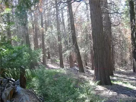 0 Crestline Rd #25, Palomar Mountain, CA 92060