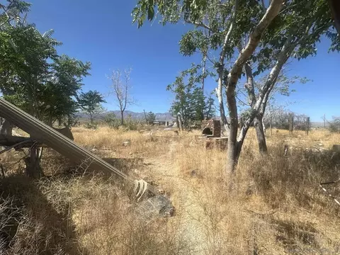 Exterior - 34047 175th St E, Llano, CA 93544 photo 9 of 15