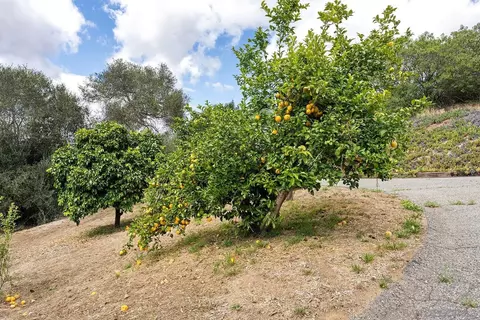 Exterior - 2557 Live Oak Park Rd, Fallbrook, CA 92028 photo 15 of 15