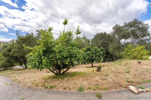Exterior - 2557 Live Oak Park Rd, Fallbrook, CA 92028 photo 14 of 15