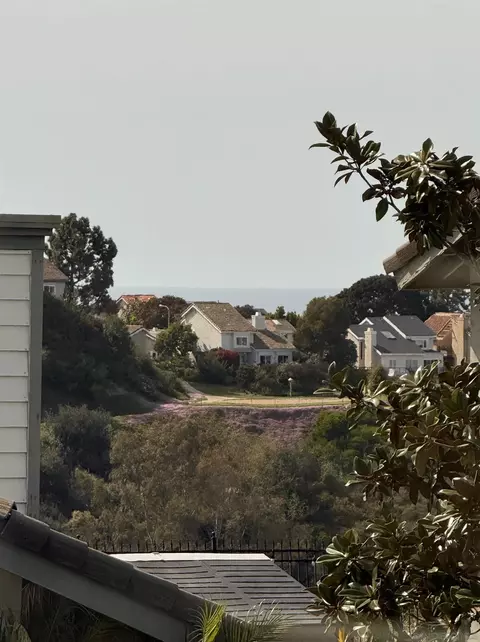 View/Area - 1705 Hawk View Dr, Encinitas, CA 92024 photo 1 of 6