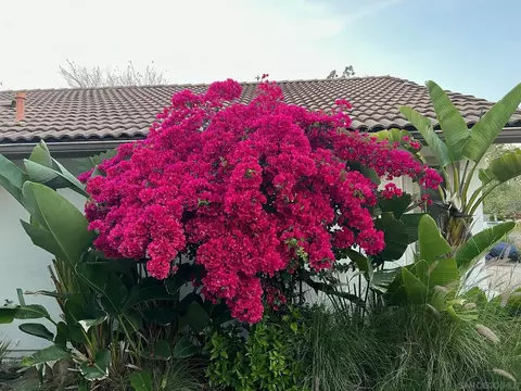 Exterior - 16490 Bridlewood, Poway, CA 92064 photo 11 of 12