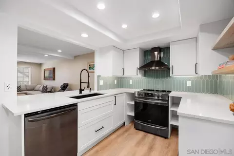 381 Playa Blanca, Encinitas, CA 92024 photo 10