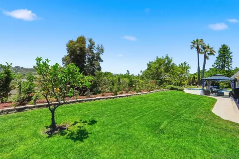 Exterior - 1619 Mapleleaf Ct, Encinitas, CA 92024 photo 9 of 13