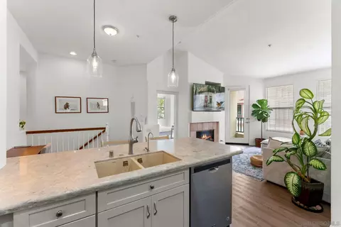 446 Carmel Creeper Pl, Encinitas, CA 92024 photo 8
