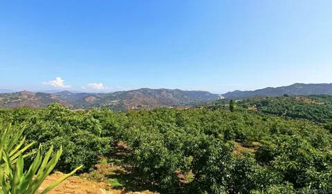 Other - 1629 Wild Acres, Vista, CA 92084 photo 7 of 7