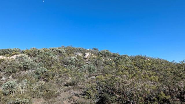 778 Lot On Crazy Horse Cyn #778, Aguanga, CA 92536