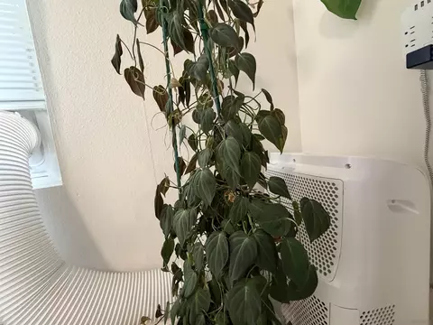 Other - 8741 Wahl, Santee, CA 92071 photo 2 of 5
