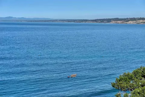 View/Area - 7825 Prospect Pl, La Jolla, CA 92037 photo 10 of 13