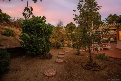 Exterior - 1007 Passiflora Ave, Encinitas, CA 92024 photo 9 of 11