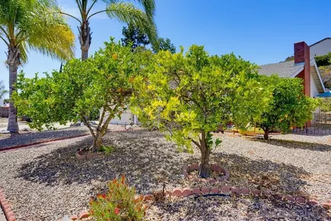 Exterior - 1920 Louis Dr, Escondido, CA 92026 photo 4 of 5