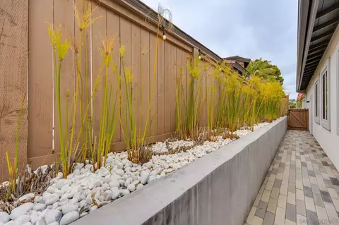 Exterior - 1042 Alexandra Ln, Encinitas, CA 92024 photo 9 of 12
