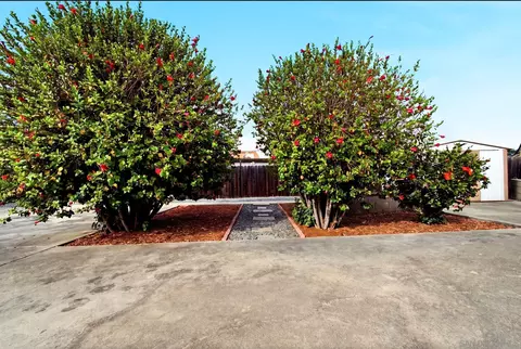 Exterior - 1632 Danny Way, El Cajon, CA 92021 photo 11 of 11