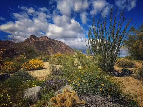 0 Palm Canyon Dr #0, Borrego Springs, CA 92004