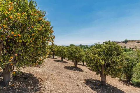Exterior - 5148 Minneola Dr, Fallbrook, CA 92028 photo 13 of 20