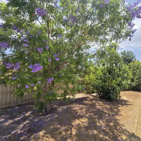 Exterior - 4126 Avocado Blvd, La Mesa, CA 91941 photo 23 of 24