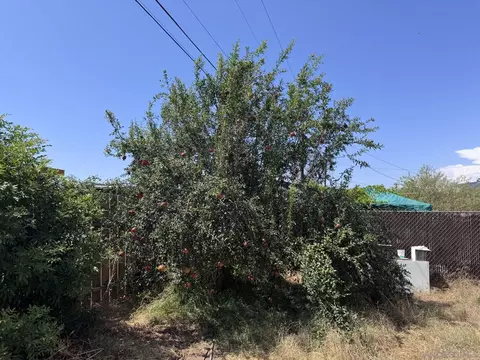 Exterior - 540 Willet St, El Cajon, CA 92020 photo 6 of 7