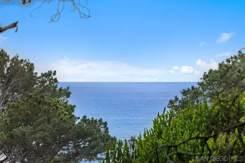 View/Area - 367 Pine Needles Dr, Del Mar, CA 92014 photo 1 of 7