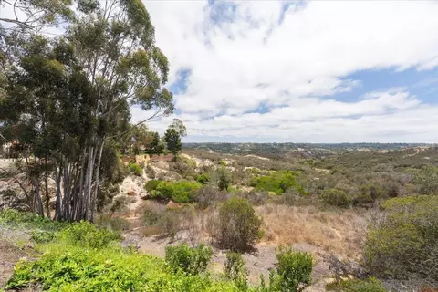 Other - 245 Fairlee, Encinitas, CA 92024 photo 8 of 12