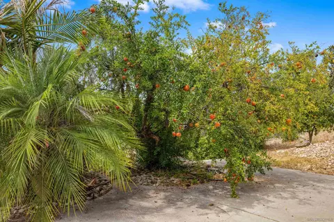 Exterior - 13320 Mapleview St, Lakeside, CA 92040 photo 5 of 5