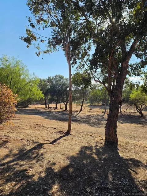 Undisclosed, Alpine, CA 91901 photo 6