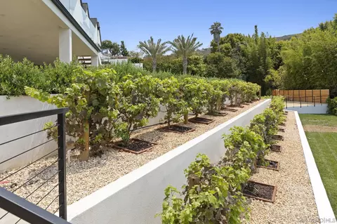 Exterior - 7784 Hillside Dr, La Jolla, CA 92037 photo 6 of 7