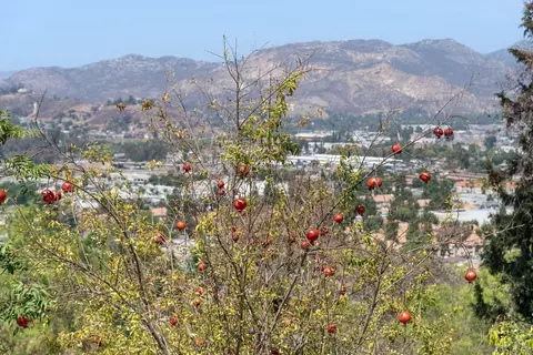 Other - 11822 Northill Ter, Lakeside, CA 92040 photo 12 of 12