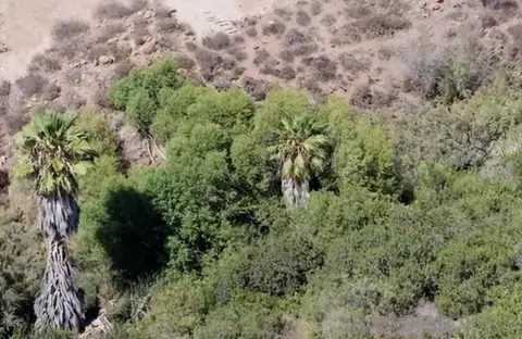 proctor valley, Chula Vista, CA 91914 photo 2