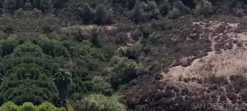 proctor valley, Chula Vista, CA 91914
