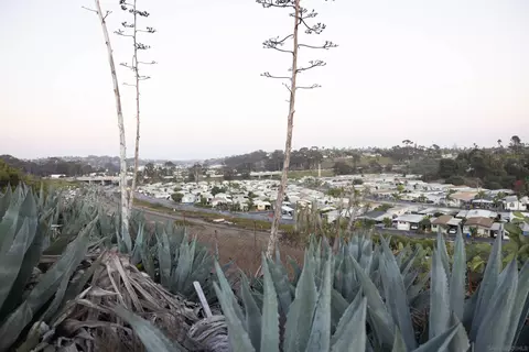 1105 Eucalyptus St #5, Oceanside, CA 92054 photo 26