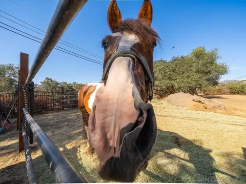 Other - 15625 Mussey Grade Rd, Ramona, CA 92065 photo 12 of 22