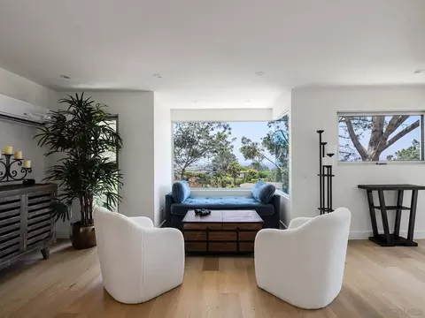 Living - 390 Hidden Pines Rd, Del Mar, CA 92014 photo 3 of 3
