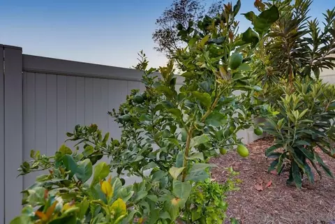 Exterior - 5850 Jan, La Mesa, CA 91942 photo 19 of 21