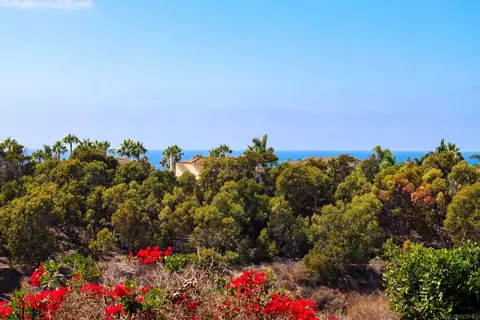 View/Area - Undisclosed, Carlsbad, CA 92011 photo 1 of 1
