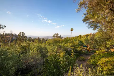 Exterior - 10010 Shadow Rd, La Mesa, CA 91941 photo 7 of 23